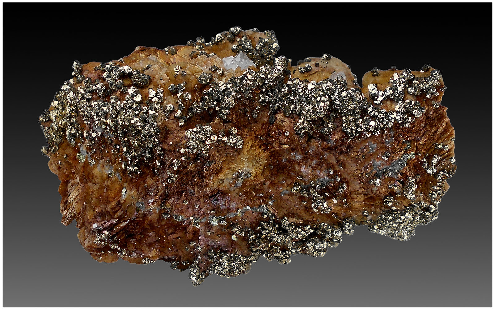 Siderite, Pyrite, Quartz
110 mm x 80 mm x 70 mm
(Autor: silvia)