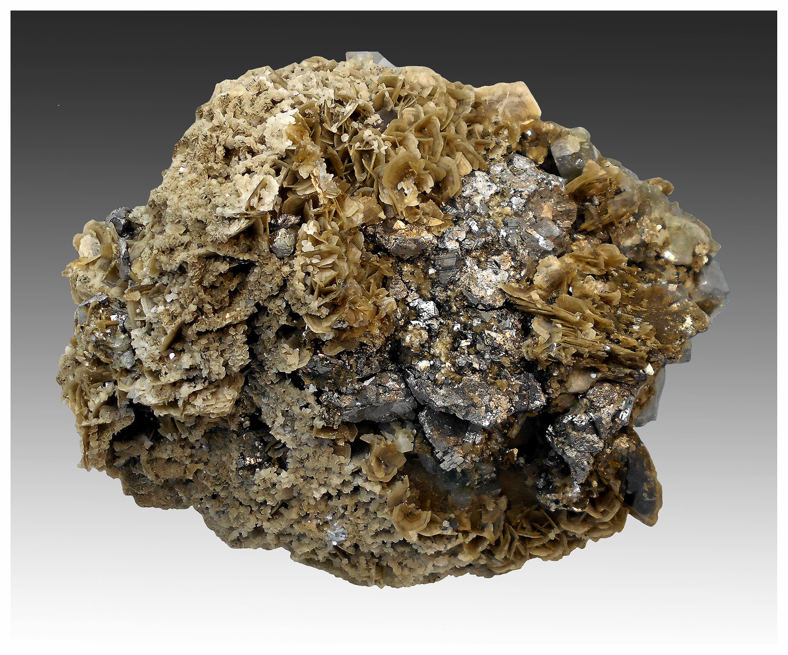 Siderite, Fluorapatite, Quartz, Arsenopyrite, Pyrite
14 cm x 11 cm x 8 cm
(Autor: silvia)