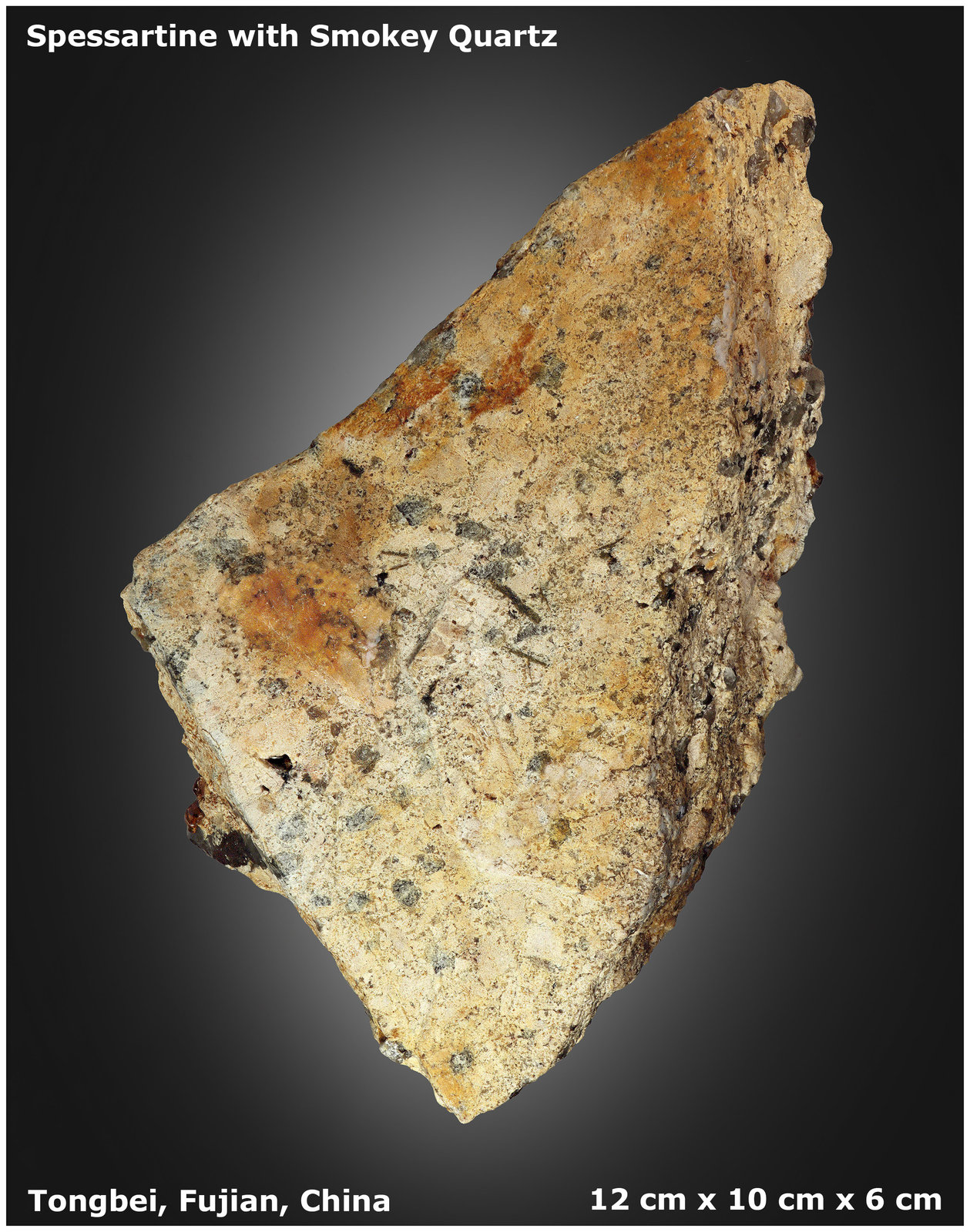 Spessartine and Smoky Quartz
12 cm x 10 cm x 6 cm
(Autor: silvia)