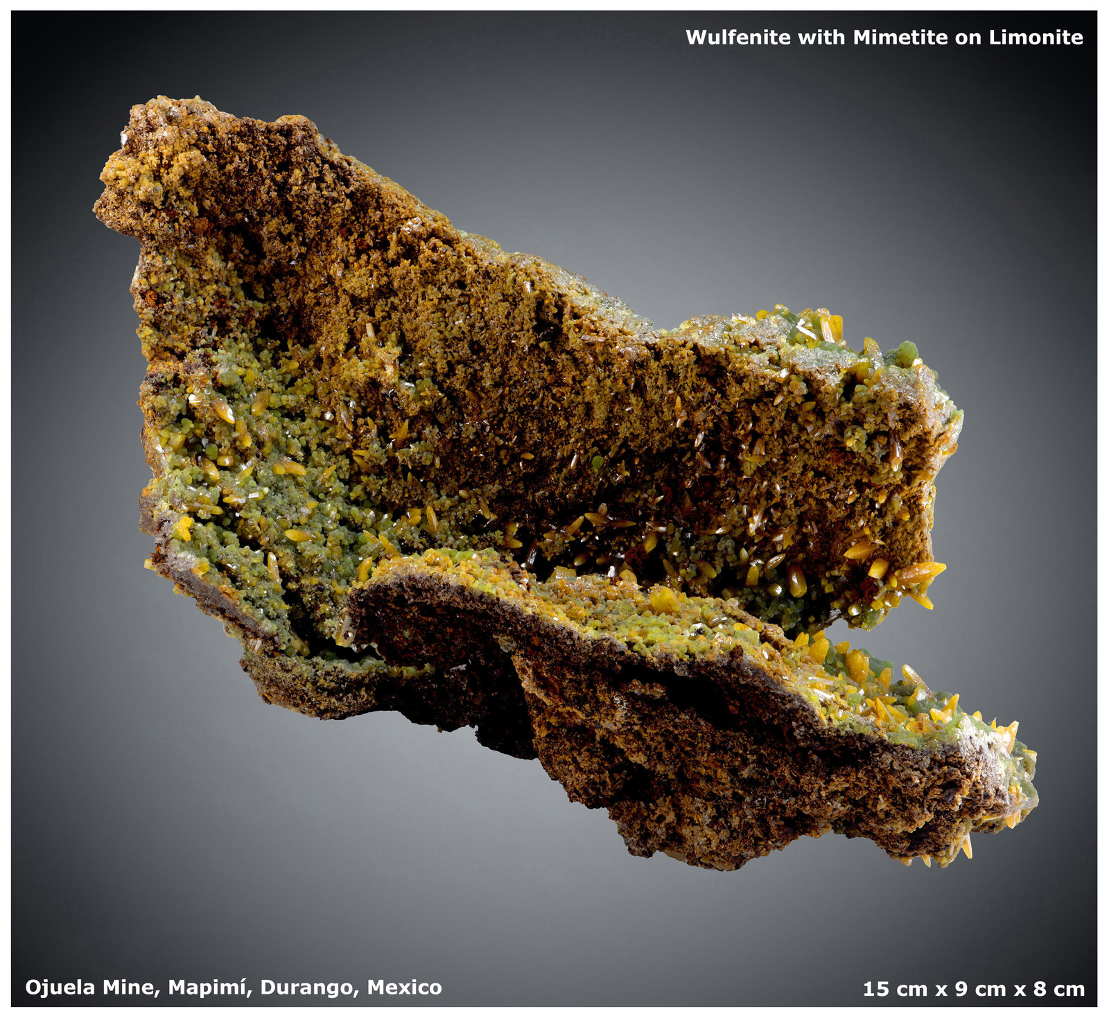 Wulfenite with Mimetite
15 cm x 9 cm x 8 cm
(Autor: silvia)