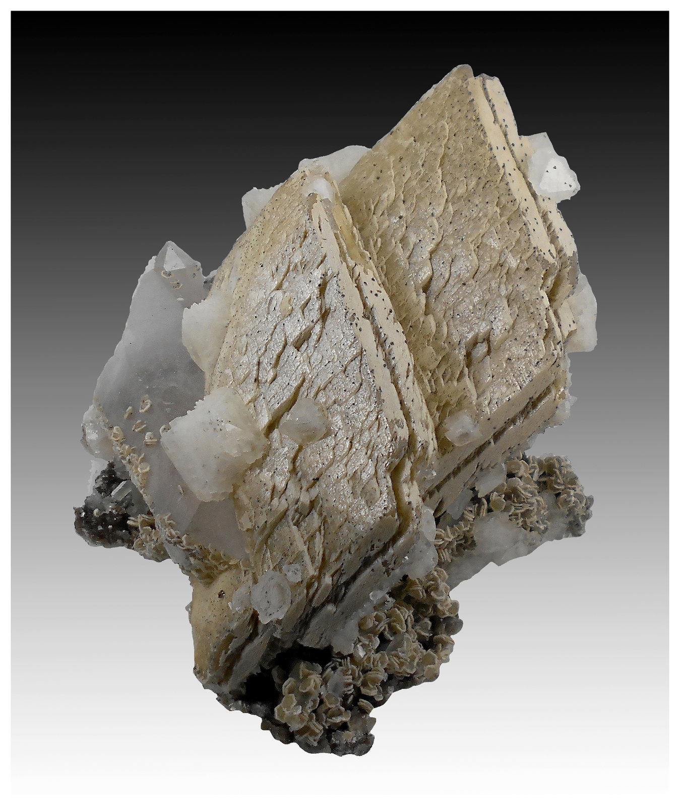 Siderite, Quartz, Dolomite, Muscovite, Pyrite
11 cm x 8 cm x 7 cm
(Autor: silvia)