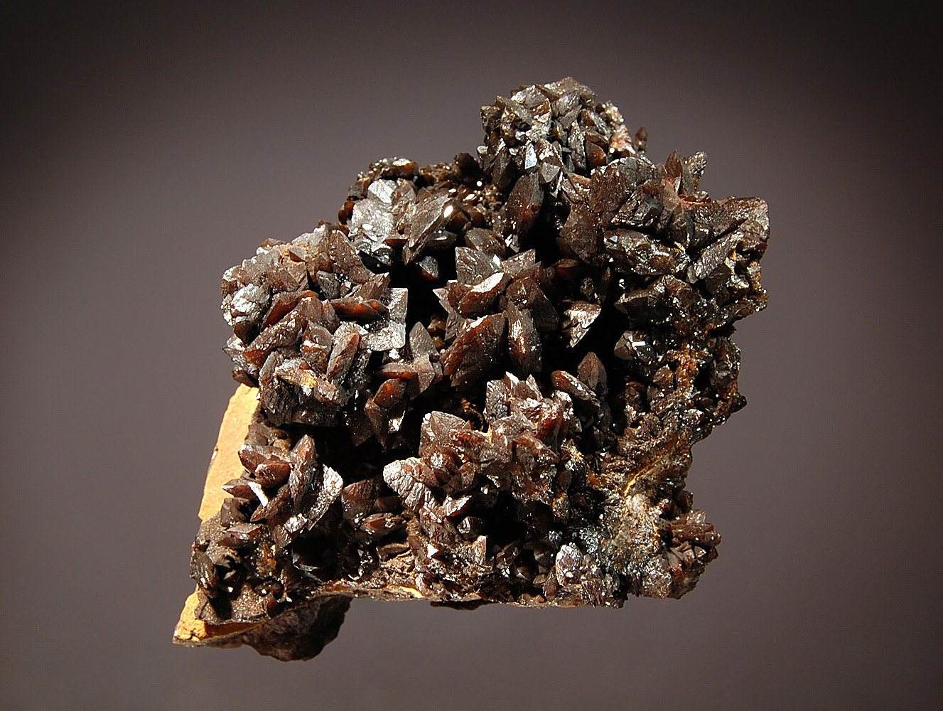Descloizite
6.6 x 7.6 cm
(Autor: Michael Shaw)