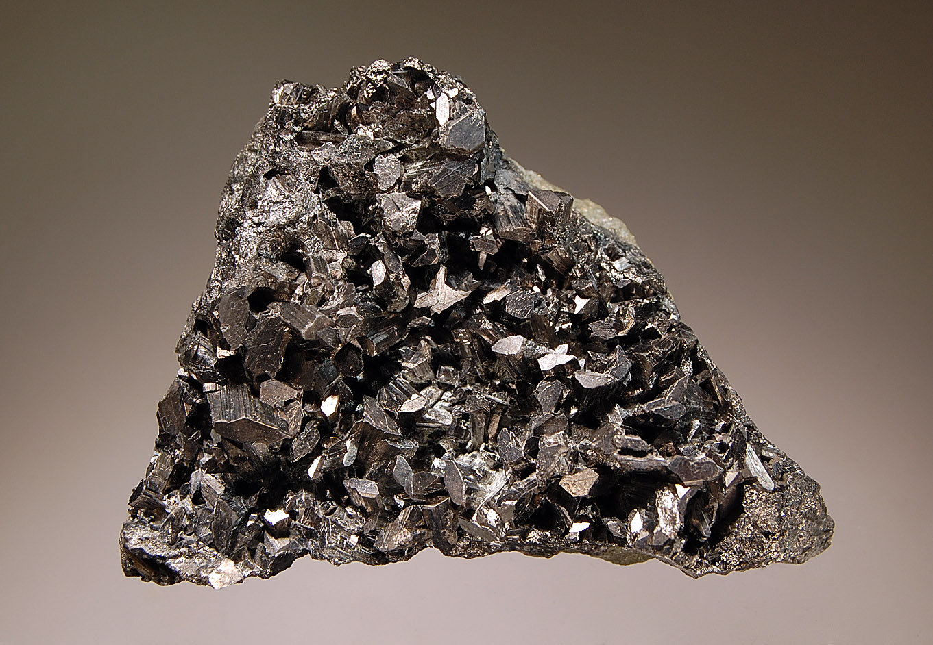 Enargite
6.5 x 5.3 cm
(Autor: Michael Shaw)