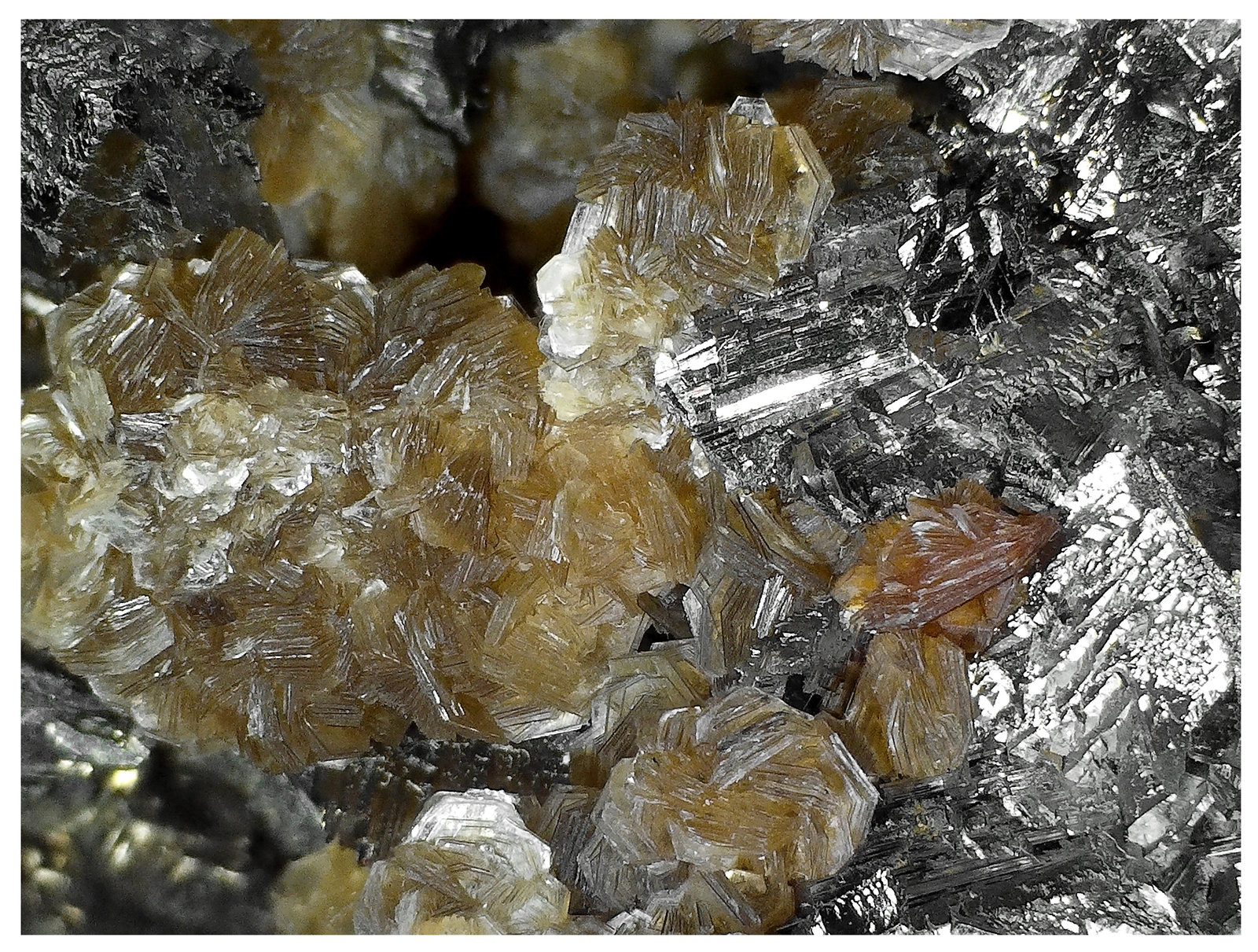 Arsenopyrite, Sphalerite, Siderite, Muscovite
23 cm x 16 cm x 8cm
(Autor: silvia)
