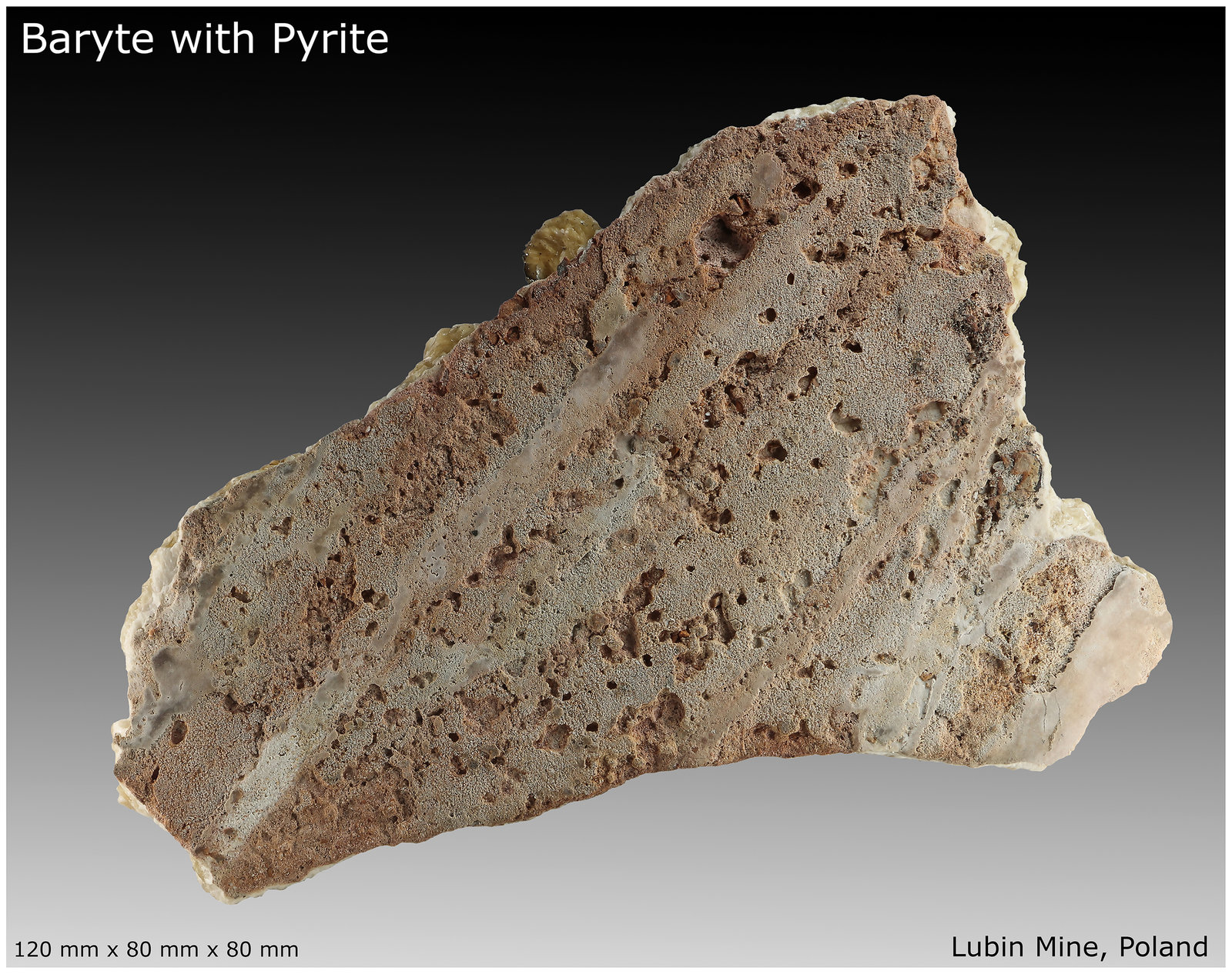 Baryte with Pyrite
120 mm x 80 mm x 80 mm
(Autor: silvia)