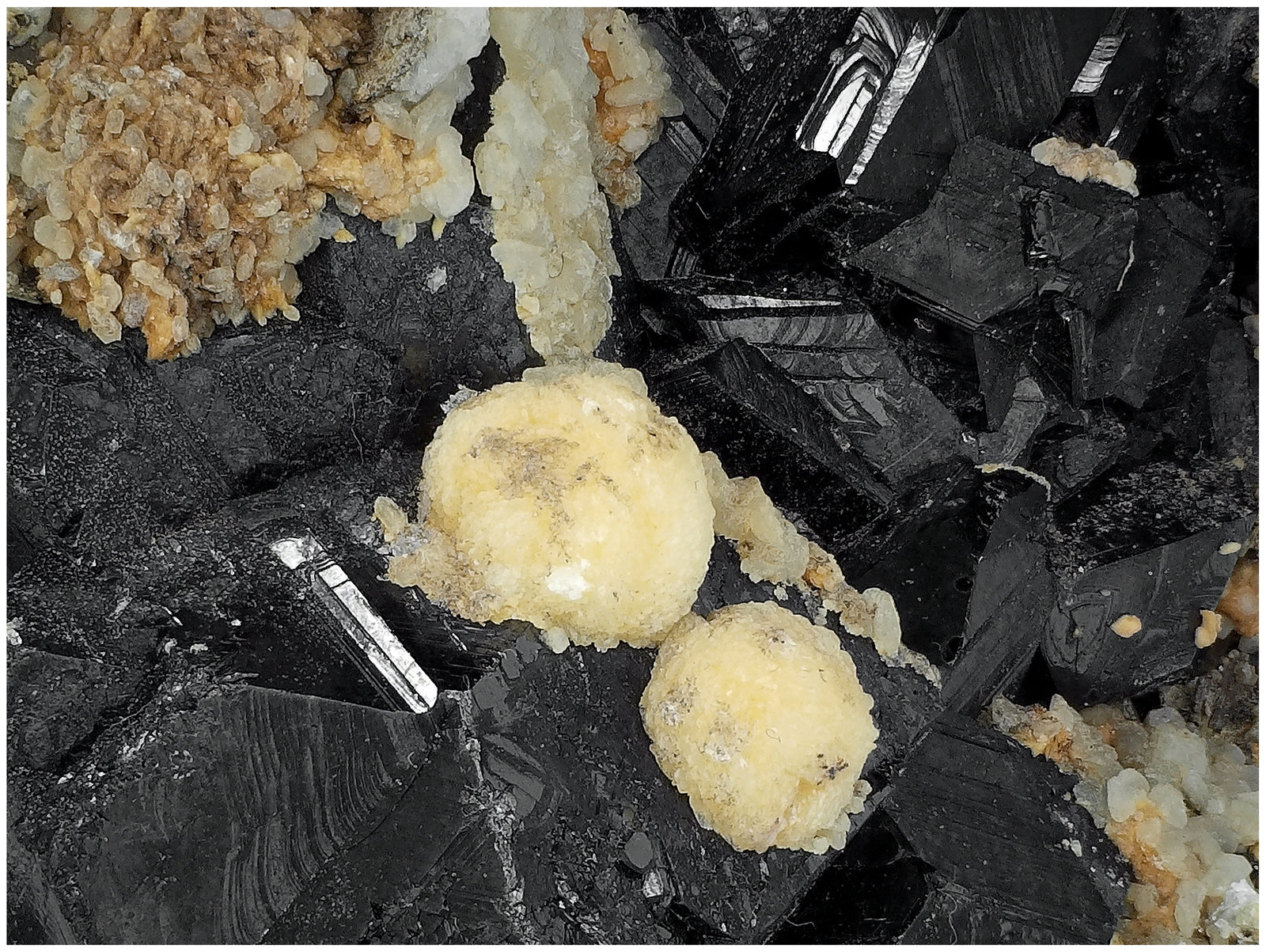 Sphalerite with Calcite
12 cm x 9 cm x 8 cm
(Autor: silvia)