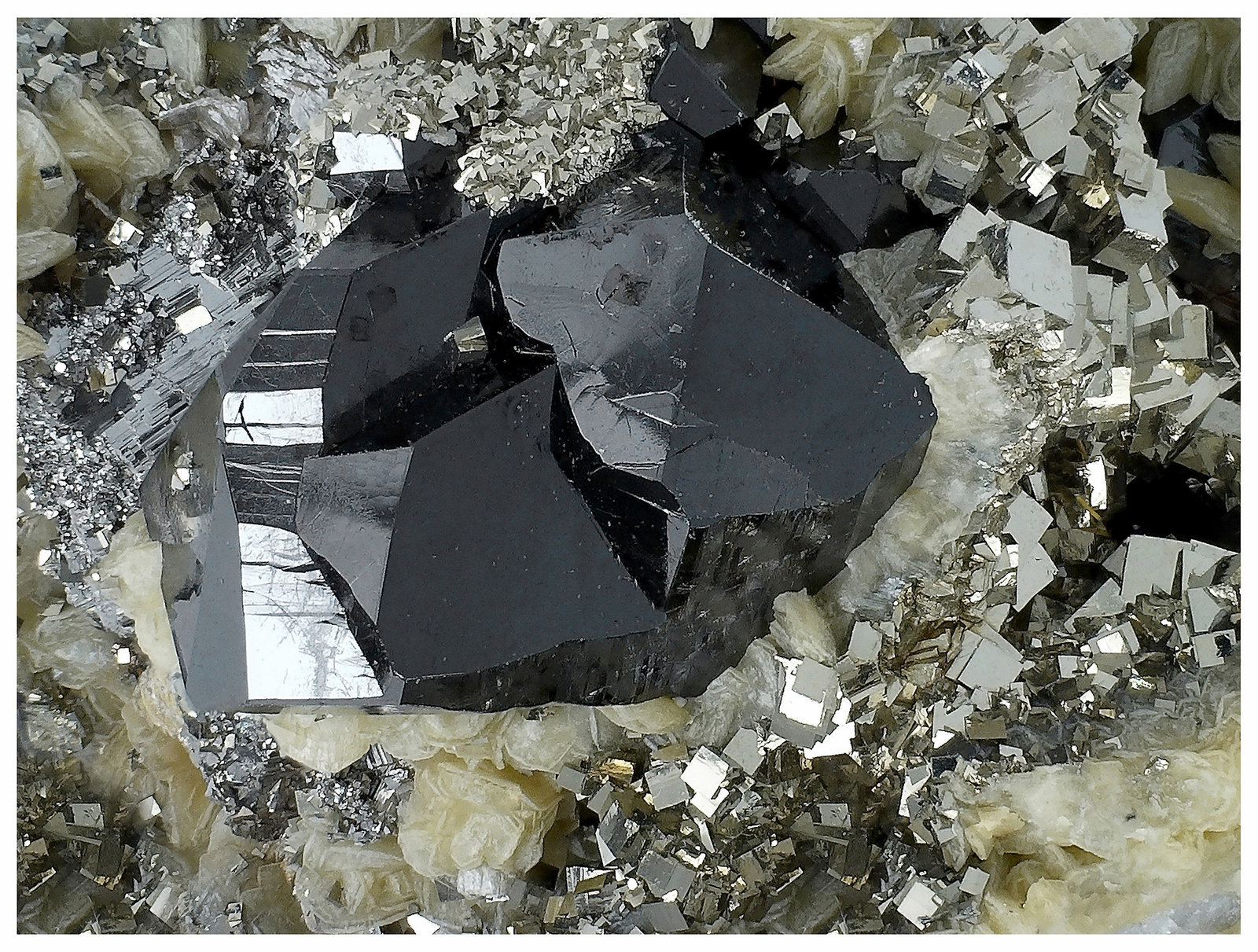 Cassiterite, Pyrite, Arsenopyrite, Siderite
6 cm x 4 cm x 4 cm
(Autor: silvia)