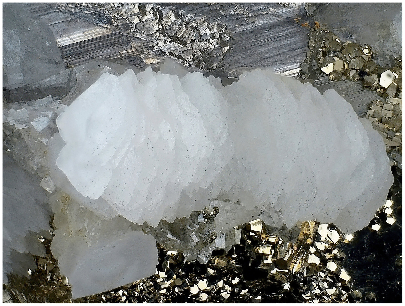 Marcasite, Pyrite, Arsenopyrite, Calcite & Quartz
6 cm x 6 cm x 4 cm
(Autor: silvia)