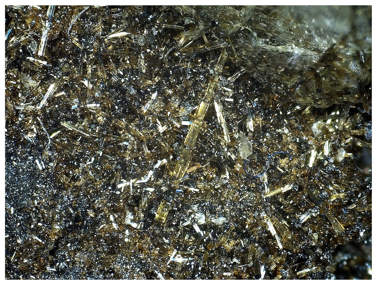 Fluorapatite, Dravite-Schorl Series
11 cm x 7 cm x 3 cm
(Autor: silvia)