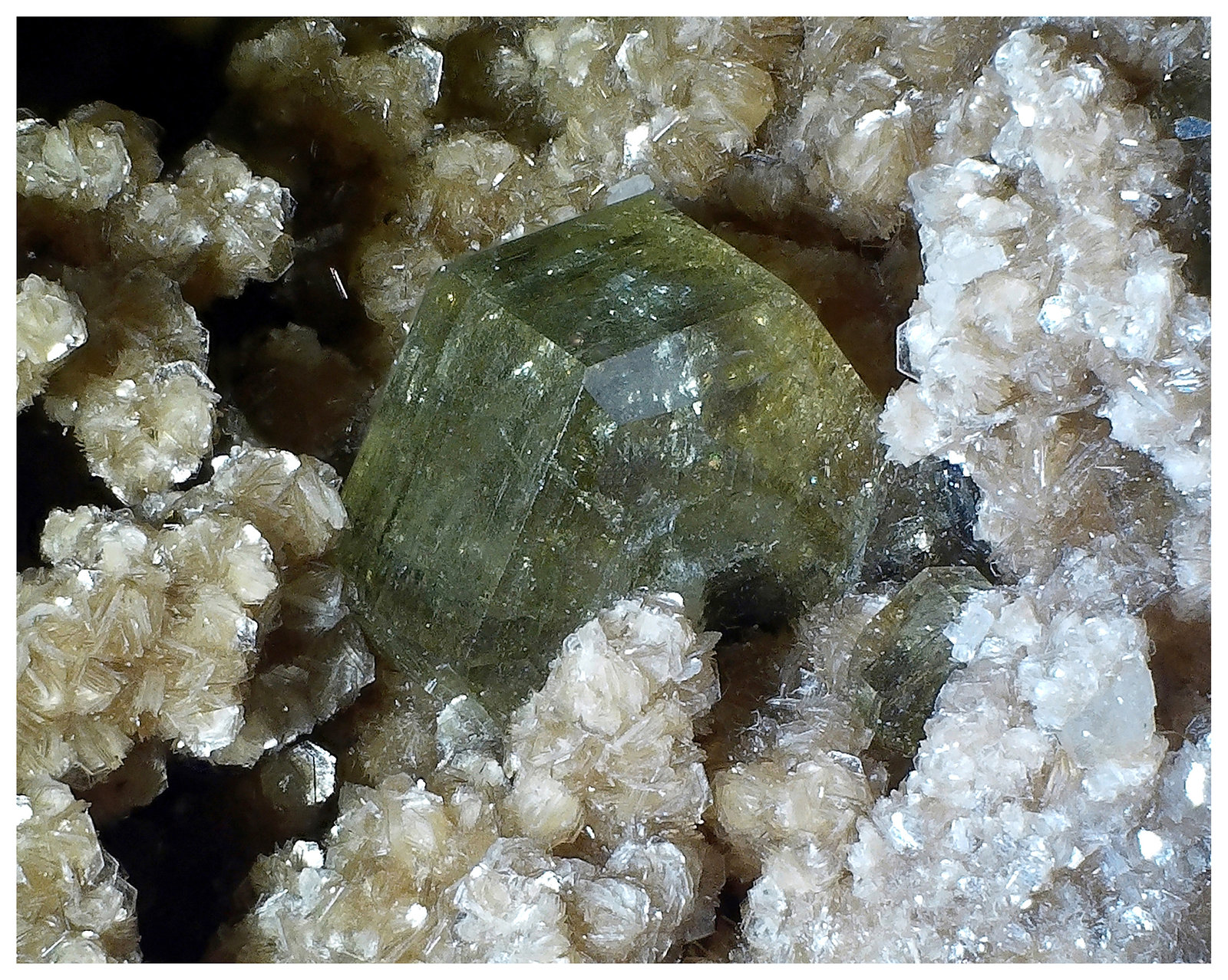 Fluorapatite, Muscovite
11 cm x 6 cm x 5 cm
(Autor: silvia)