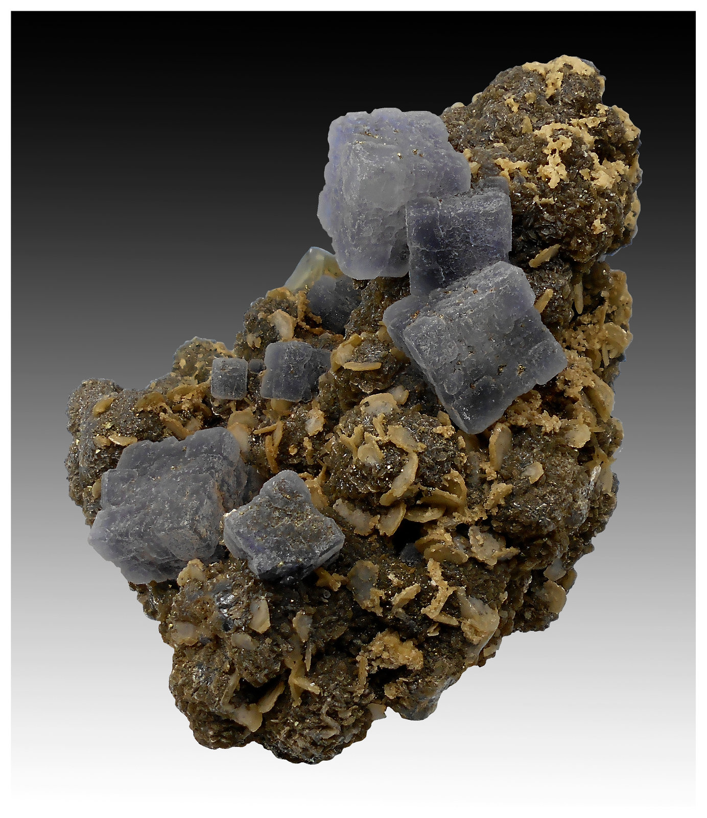 Fluorite, Fluorapatite, Siderite, Muscovite and Pyrite
9 cm x 8 cm x 6 cm
(Autor: silvia)