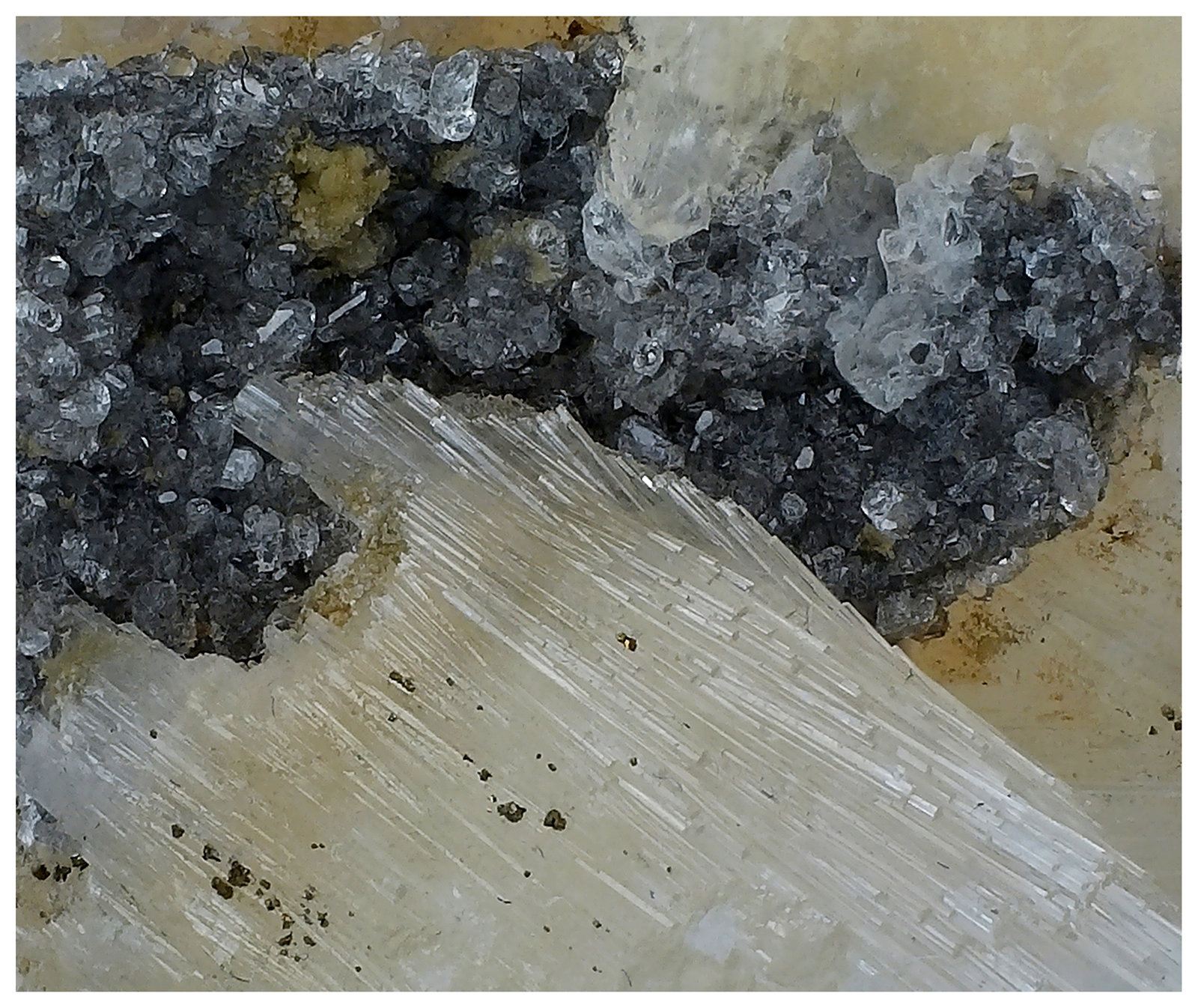 Fluorapatite, Topaz, Goyazite, Muscovite
4 cm x 3 cm x 3 cm
(Autor: silvia)