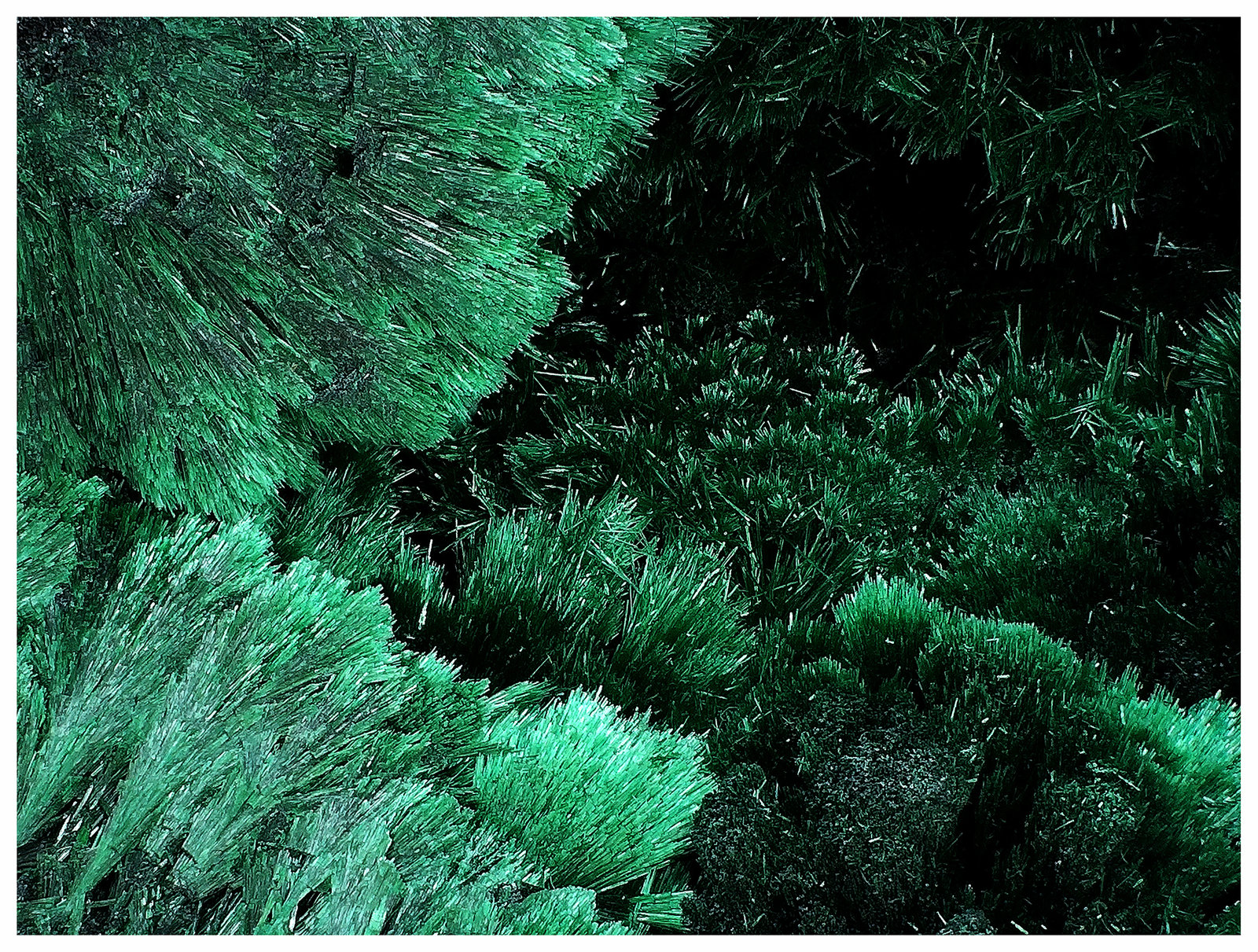 Malachite
18 cm x 10 cm x 9 cm
(Autor: silvia)
