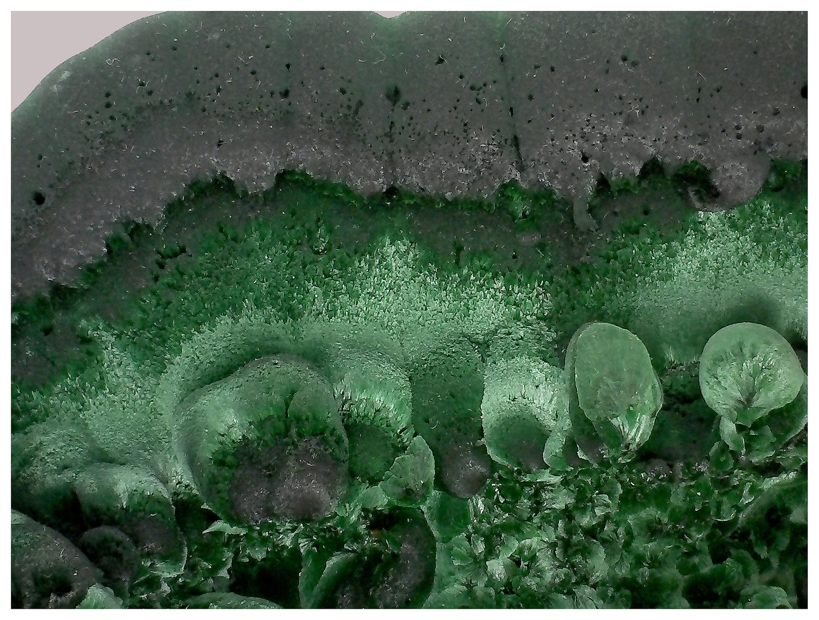 Malachite
15 cm x 12 cm x 5 cm
(Autor: silvia)