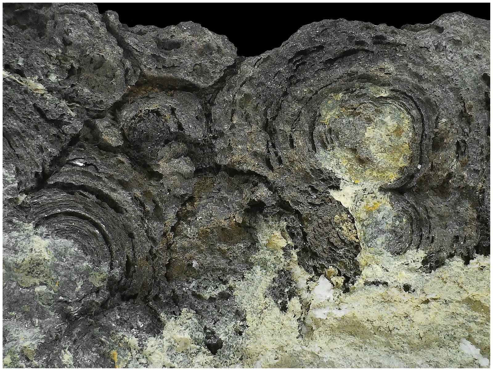 Arsenic
13 cm x 8 cm x 2 cm
(Autor: silvia)