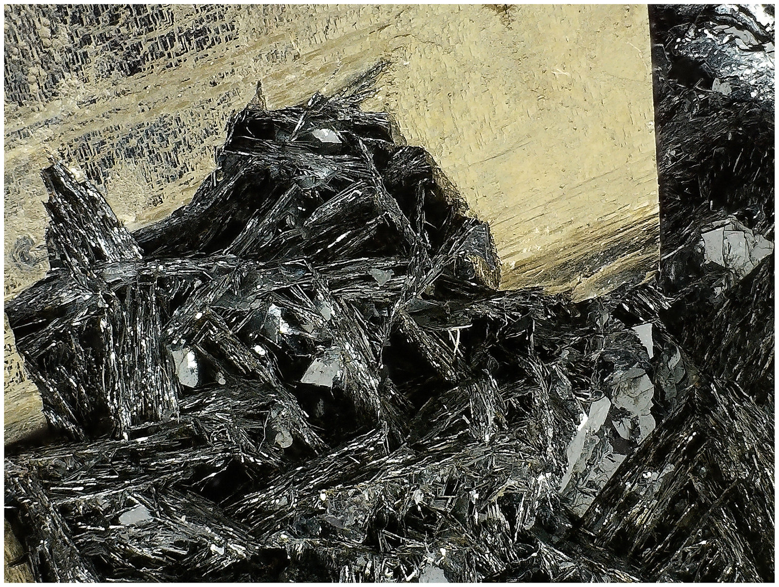 Pyrite on Hematite
14 cm x 12 cm x 9 cm
(Autor: silvia)