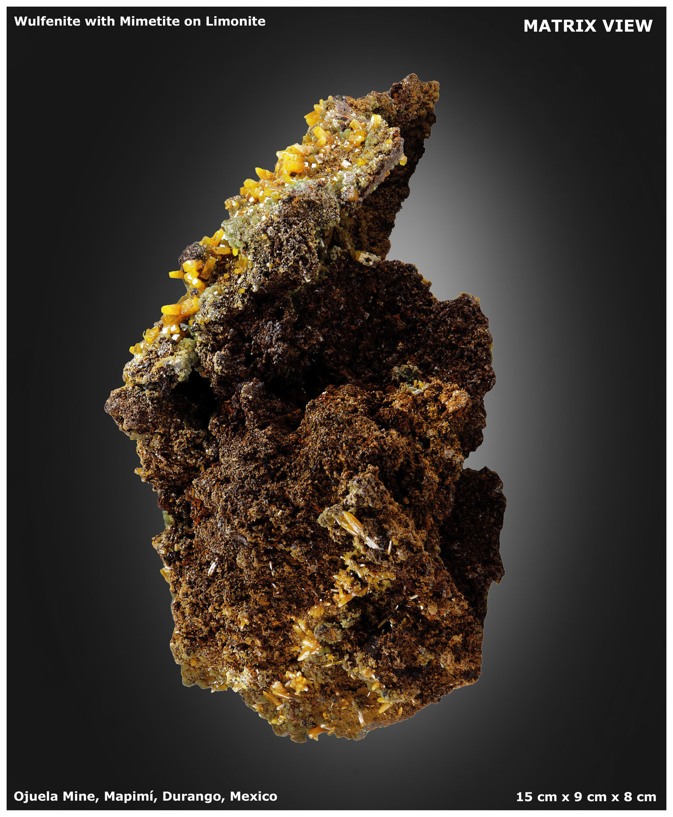 Wulfenite with Mimetite
15 cm x 9 cm x 8 cm
(Autor: silvia)
