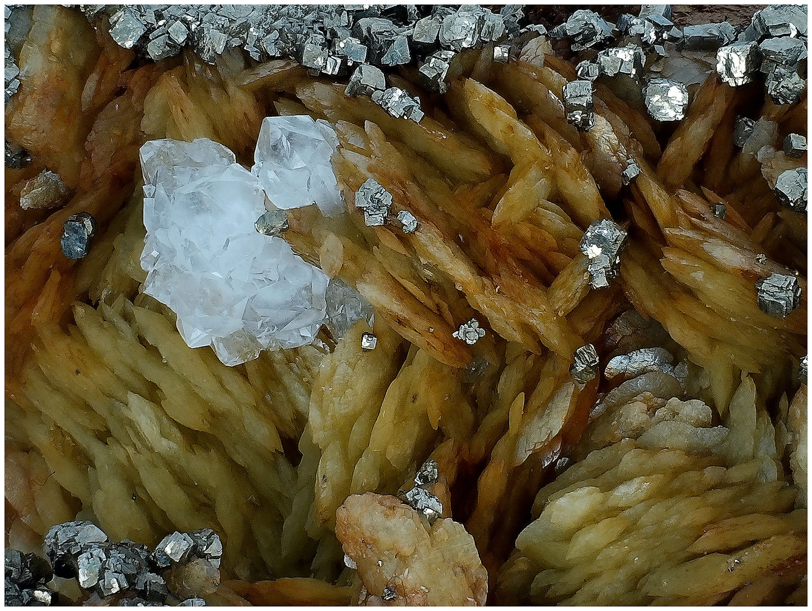 Siderite, Pyrite, Quartz
110 mm x 80 mm x 70 mm
(Autor: silvia)