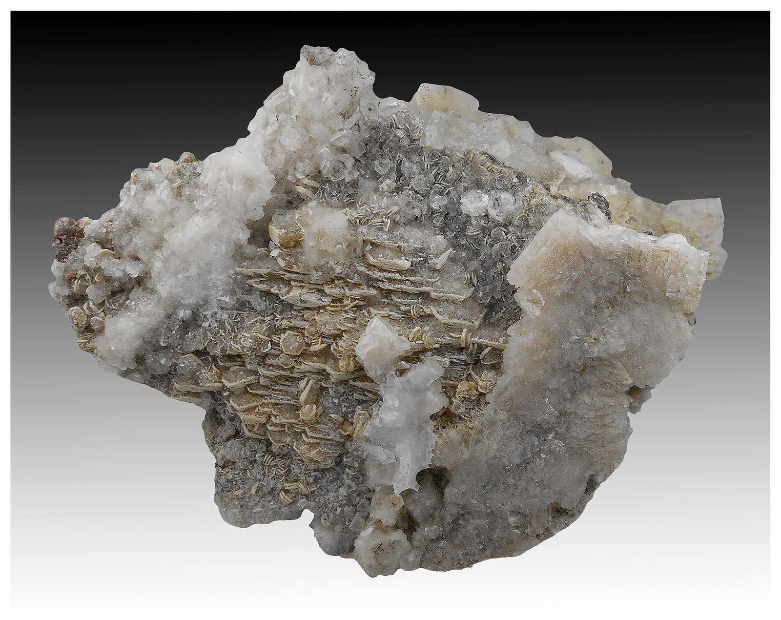 Siderite, Quartz, Dolomite, Muscovite, Pyrite
11 cm x 8 cm x 7 cm
(Autor: silvia)