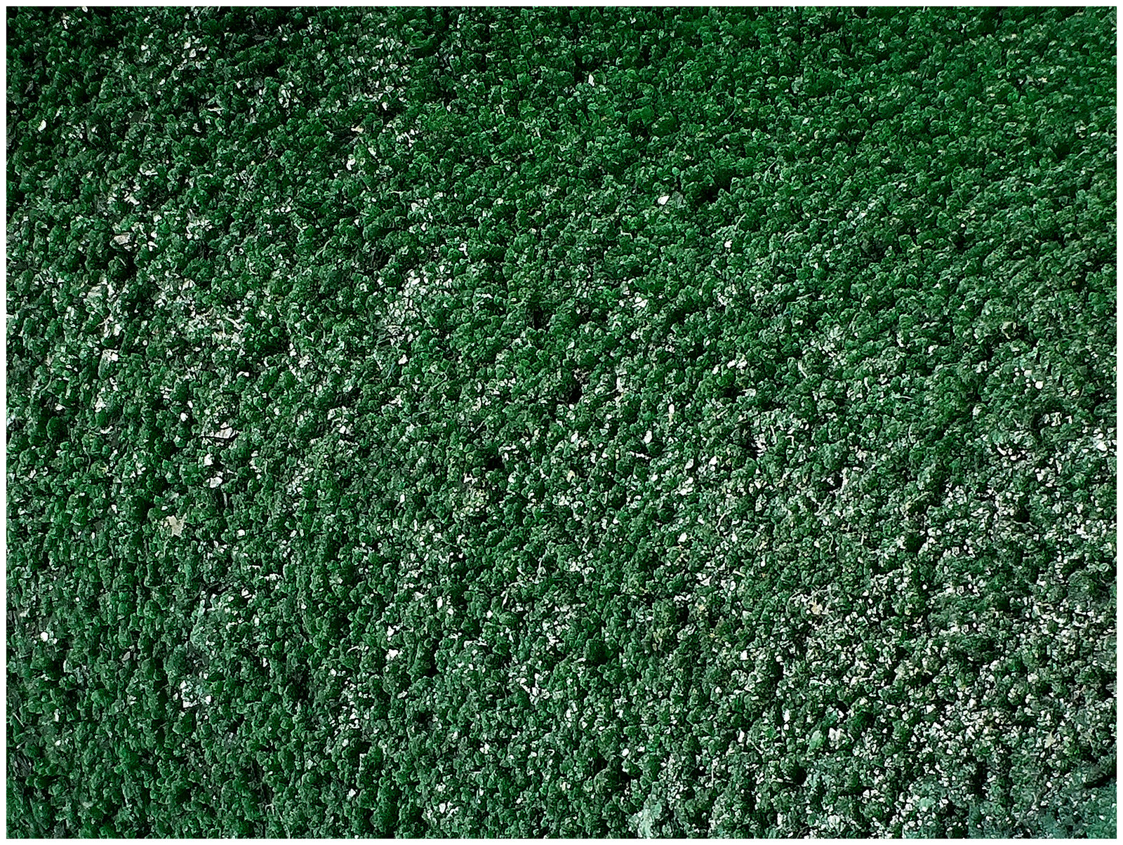 Malachite, Cuprite
10 cm x 8 cm x 6 cm
(Autor: silvia)