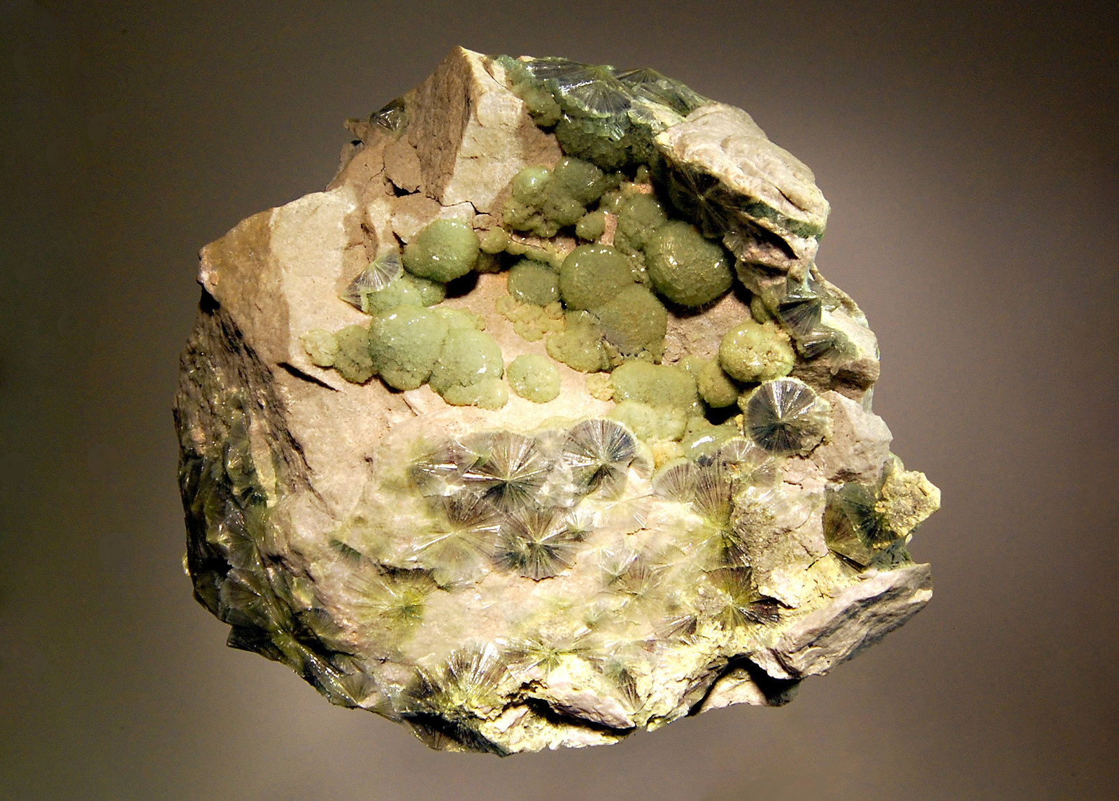 Wavellite
10.9 x 11.6 cm
(Autor: Michael Shaw)