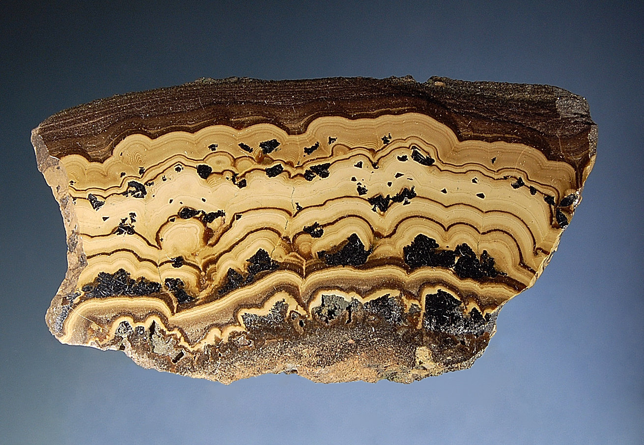 Sphalerite, wurtzite, galena, and marcasite
4.2 x 8.5 cm
(Autor: Michael Shaw)
