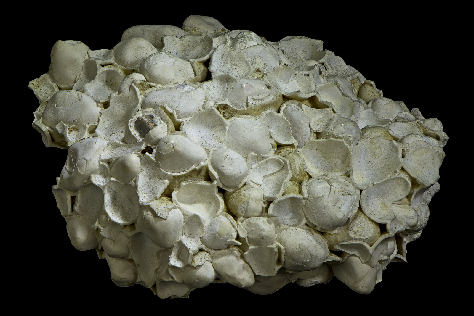 Aragonite (variety pisolite)
55 x 45 x 30 mm
(Autor: Rob Schnerr)
