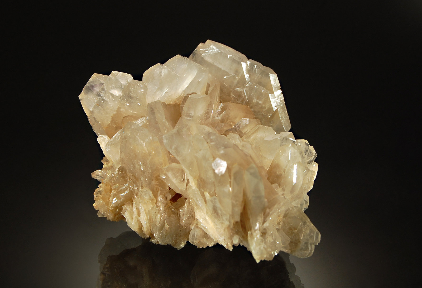 Barite
4.5 x 6.3 cm
(Autor: Michael Shaw)