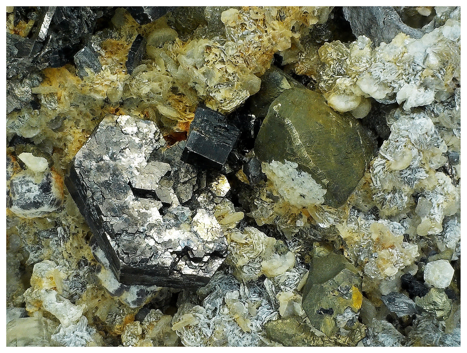Cassiterite, Arsenopyrite, Fluorapatite, Chalcopyrite, Muscovite
11 cm x  6 cm x 3 cm
(Autor: silvia)