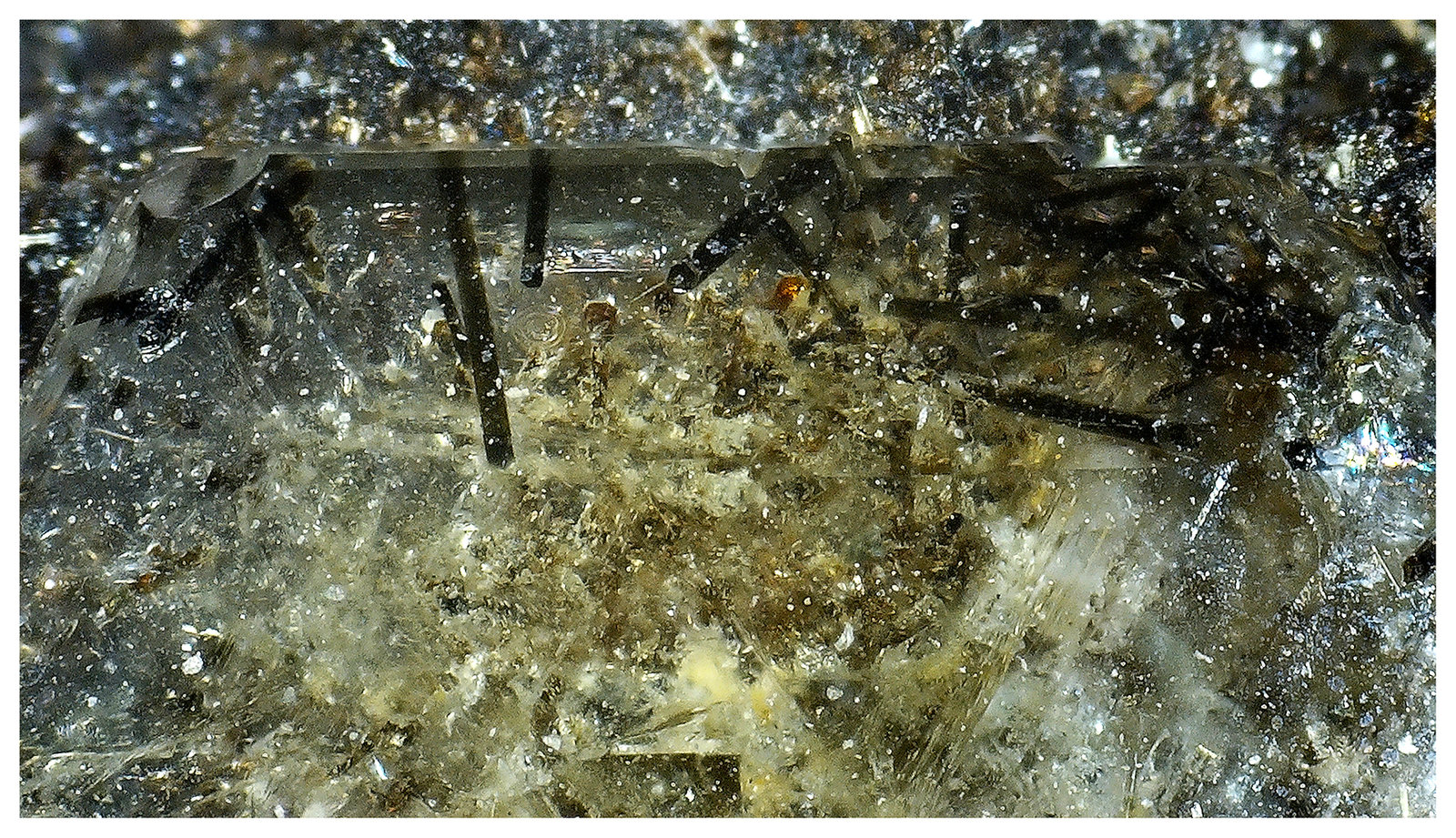 Fluorapatite, Dravite-Schorl Series
11 cm x 7 cm x 3 cm
(Autor: silvia)