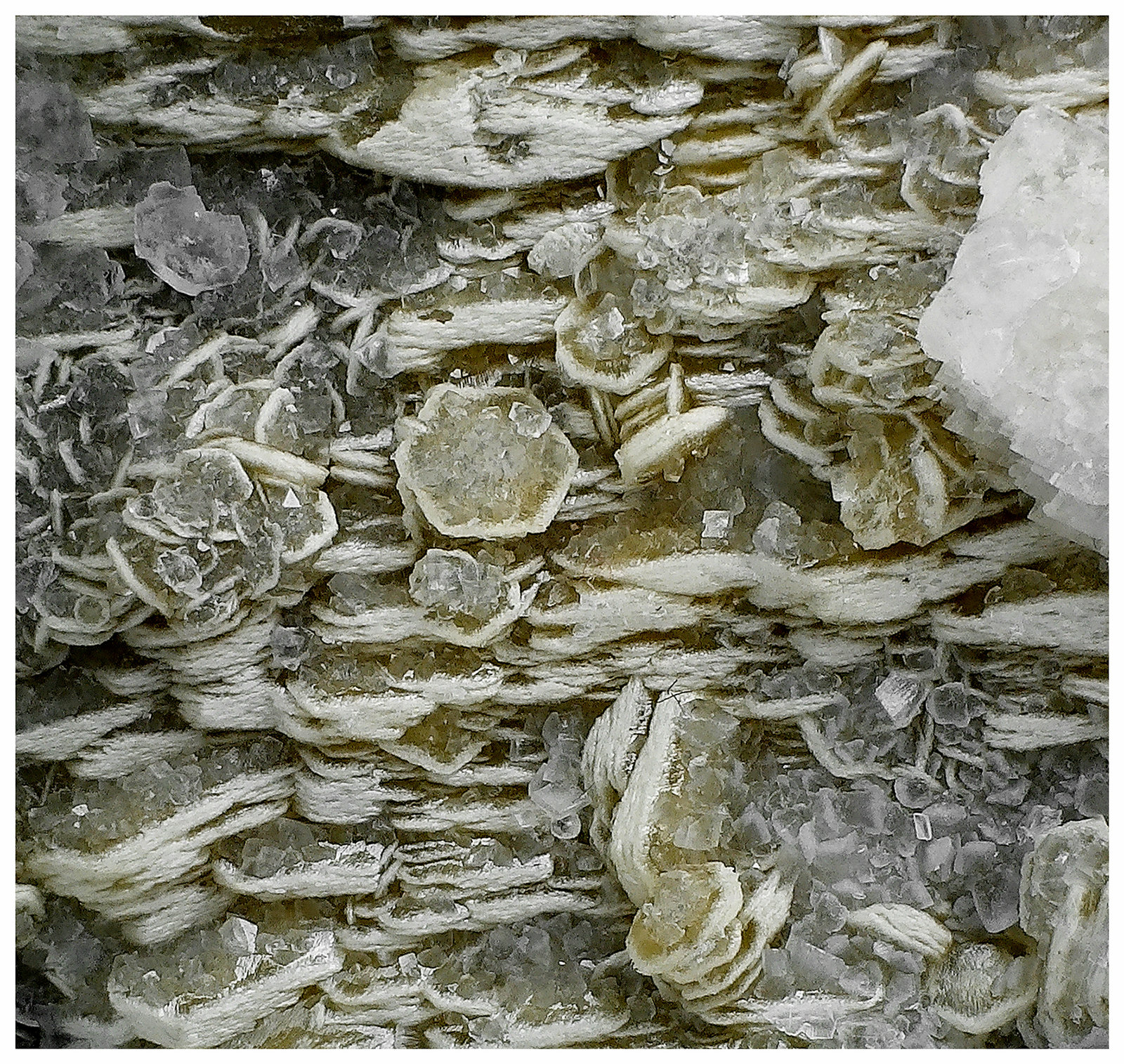 Siderite and Dolomite
11 cm x 8 cm x 7 cm
(Autor: silvia)