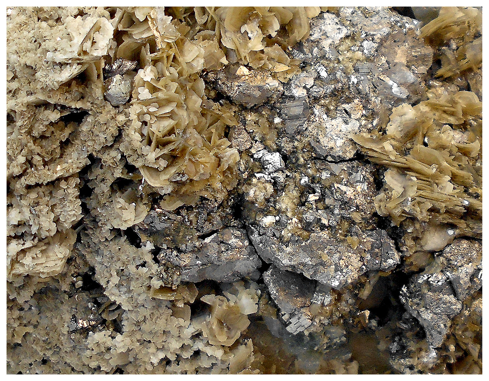 Siderite, Fluorapatite, Quartz, Arsenopyrite, Pyrite
14 cm x 11 cm x 8 cm
(Autor: silvia)