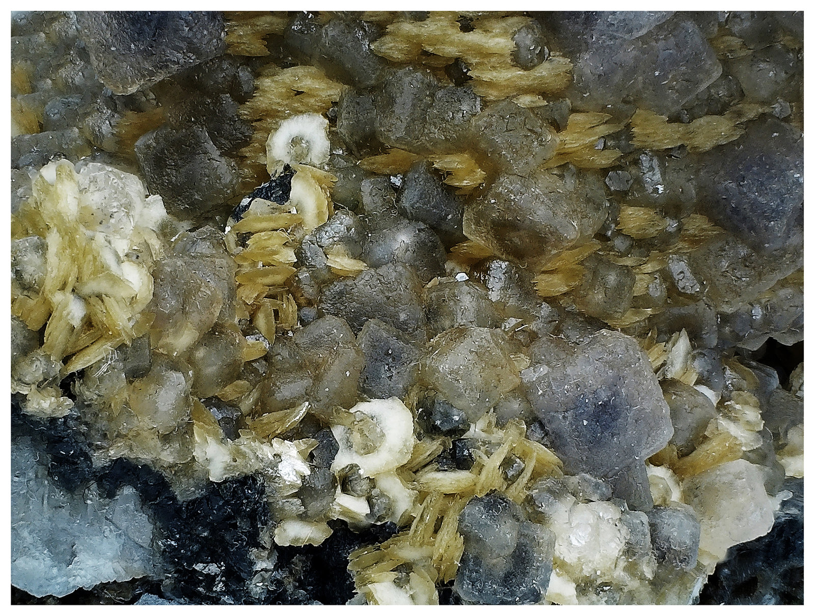 Siderite, Fluorite
7 cm x 6 cm x 5 cm
(Autor: silvia)