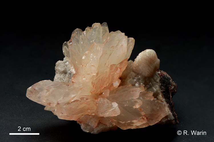 Calcite
10 cm wide
(Autor: Roger Warin)