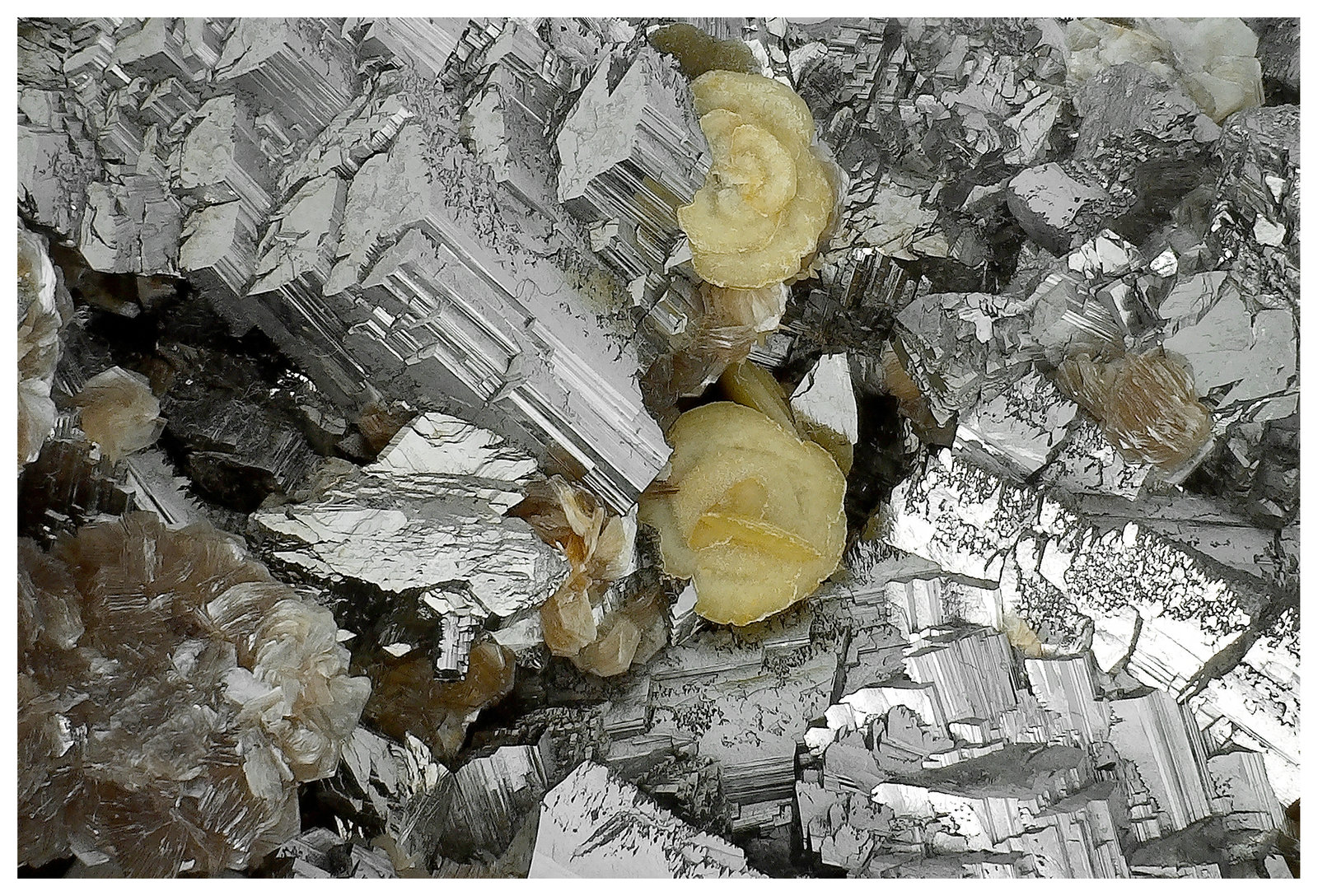 Arsenopyrite, Sphalerite, Siderite, Muscovite
23 cm x 16 cm x 8cm
(Autor: silvia)