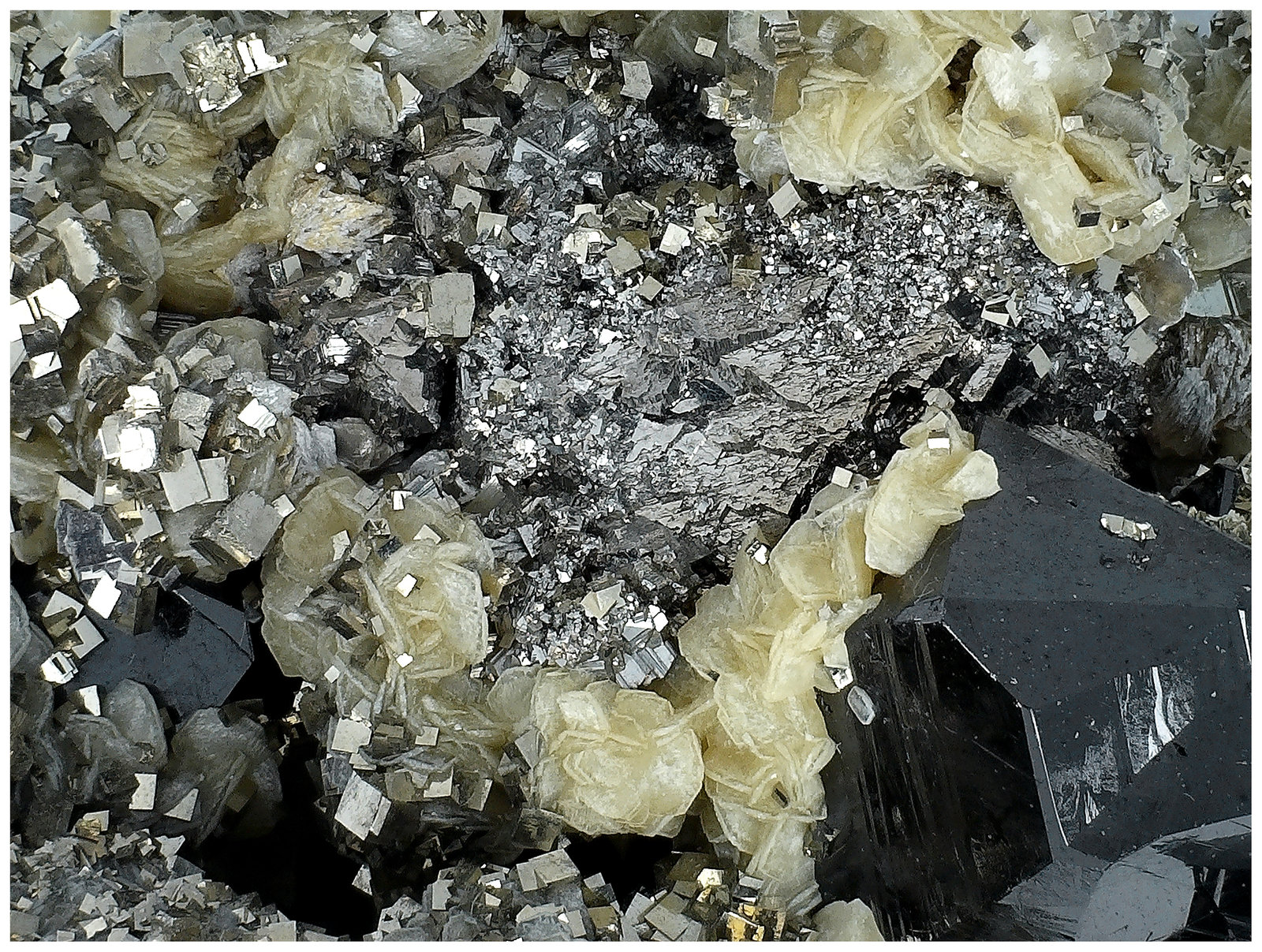 Cassiterite, Pyrite, Arsenopyrite, Siderite
6 cm x 4 cm x 4 cm
(Autor: silvia)