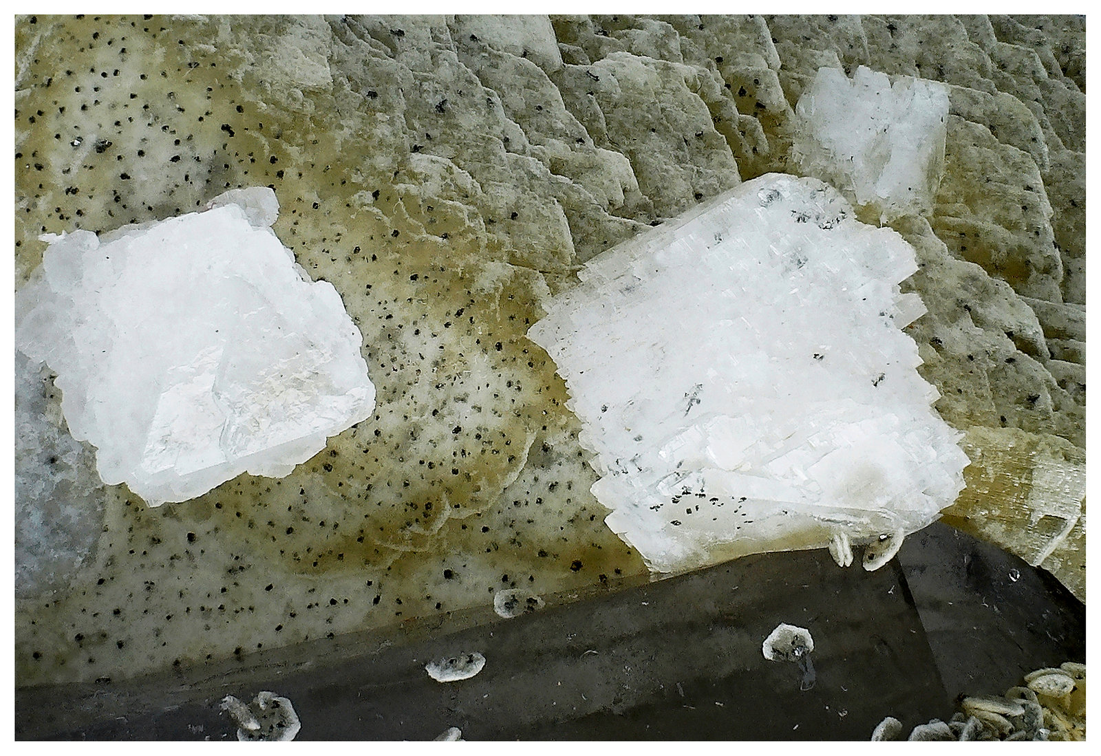 Siderite, Dolomite and Pyrite
11 cm x 8 cm x 7 cm
(Autor: silvia)
