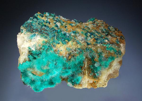 Brochantite and spangolite on a quartz and barite matrix
5 x 6.9 cm
(Autor: Michael Shaw)