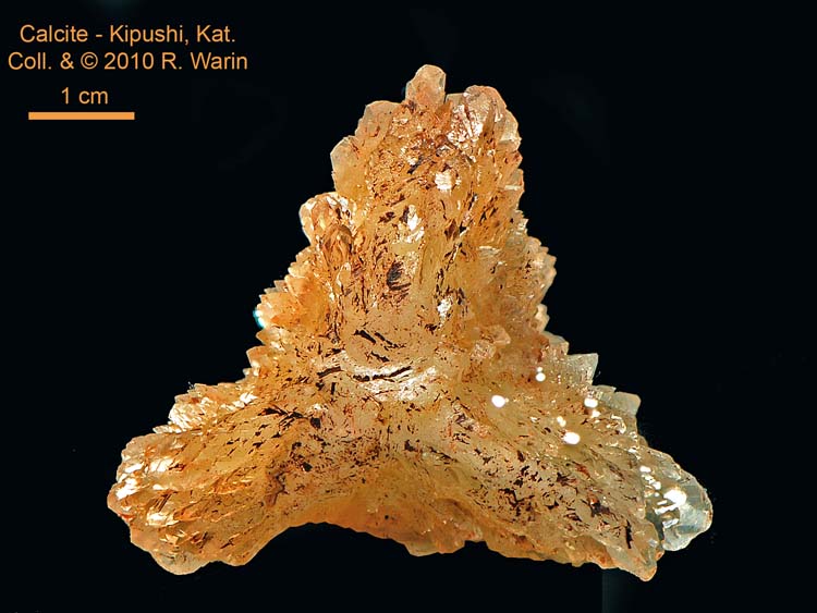 Calcite
55 mm wide
(Autor: Roger Warin)