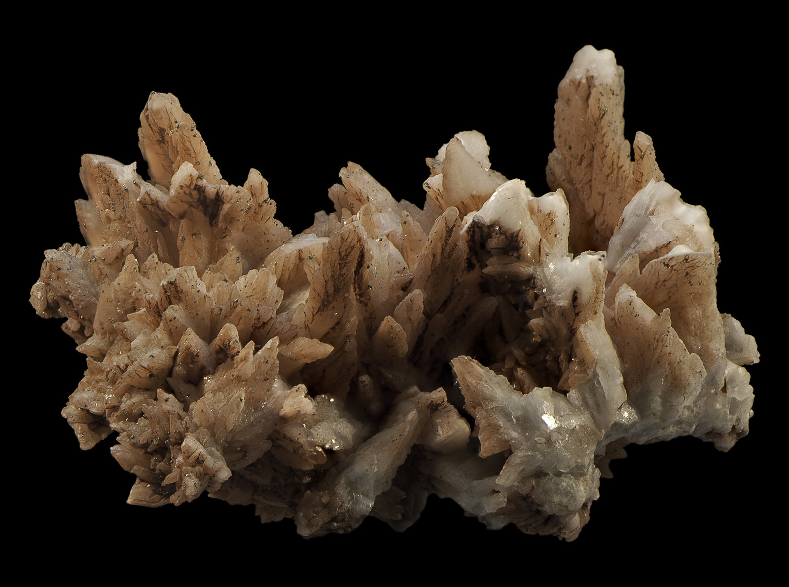 Calcite
65 x 40 x 30 mm
(Autor: Rob Schnerr)