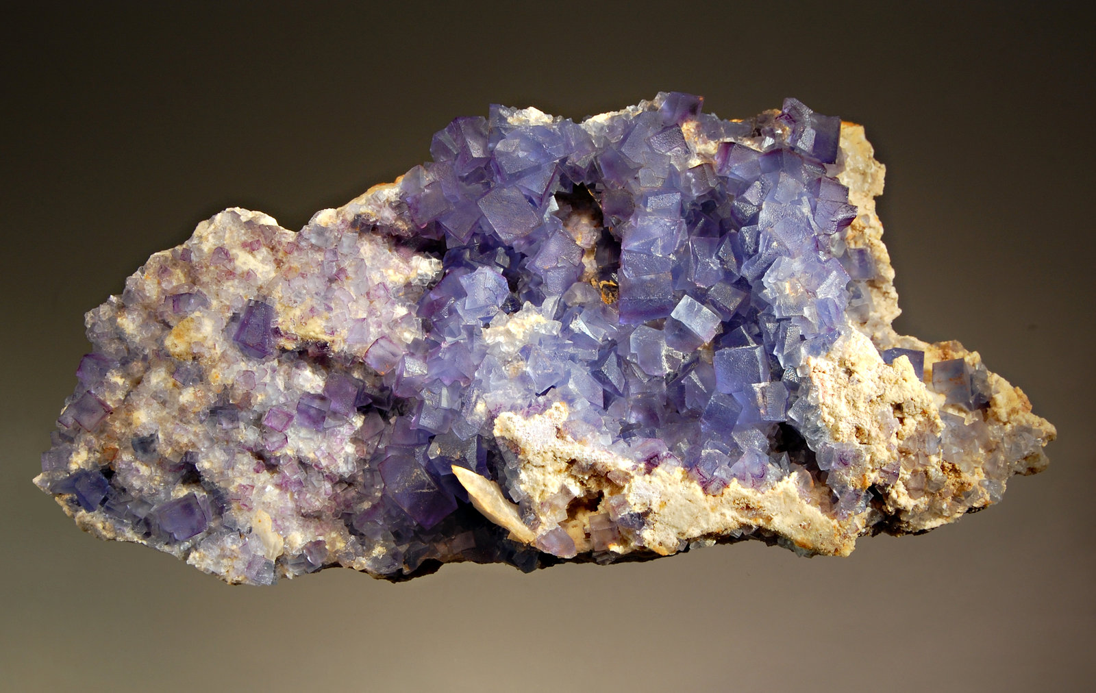 Fluorite
9.7 x 20.4 cm
(Autor: Michael Shaw)