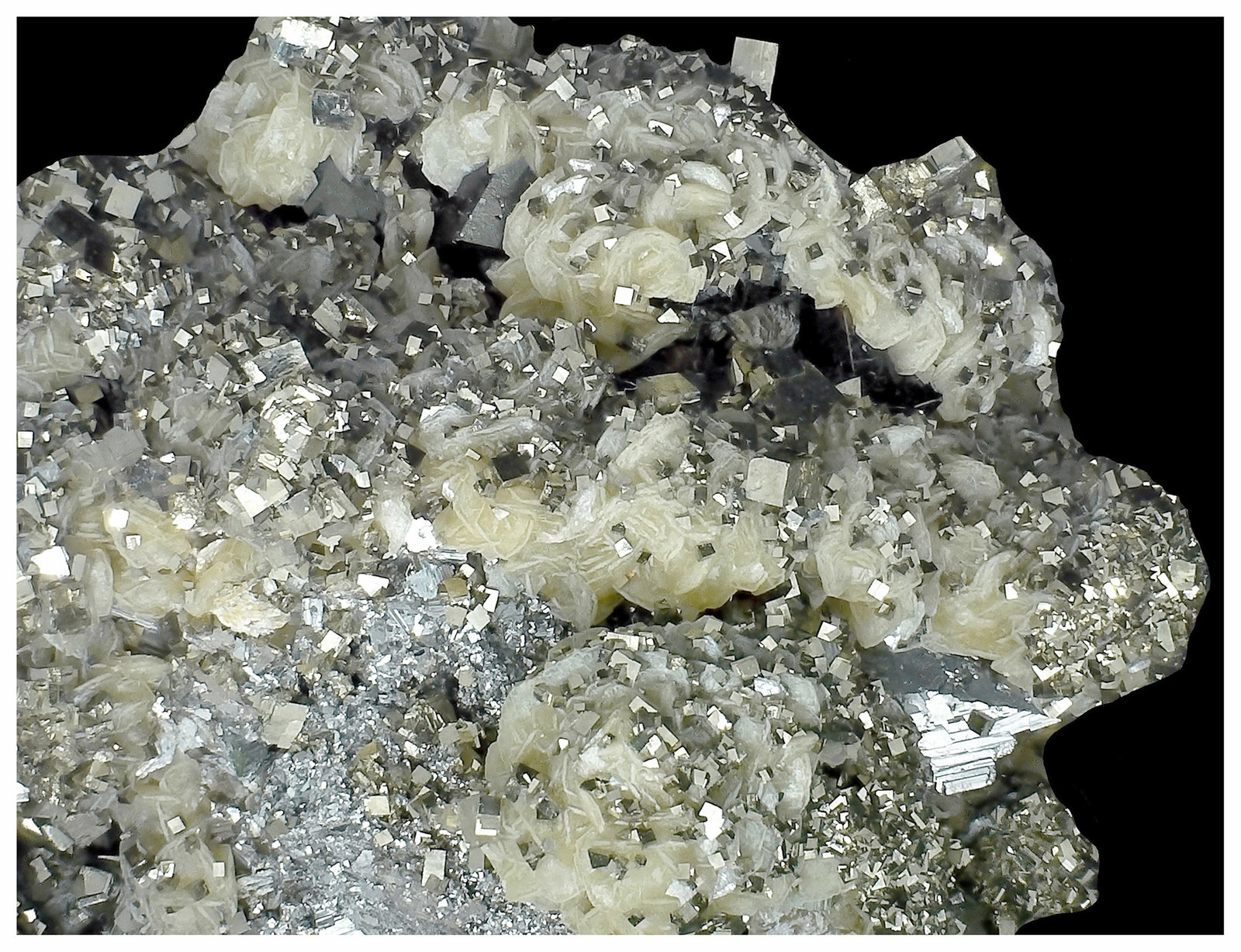Pyrite, Arsenopyrite, Siderite
6 cm x 4 cm x 4 cm
(Autor: silvia)
