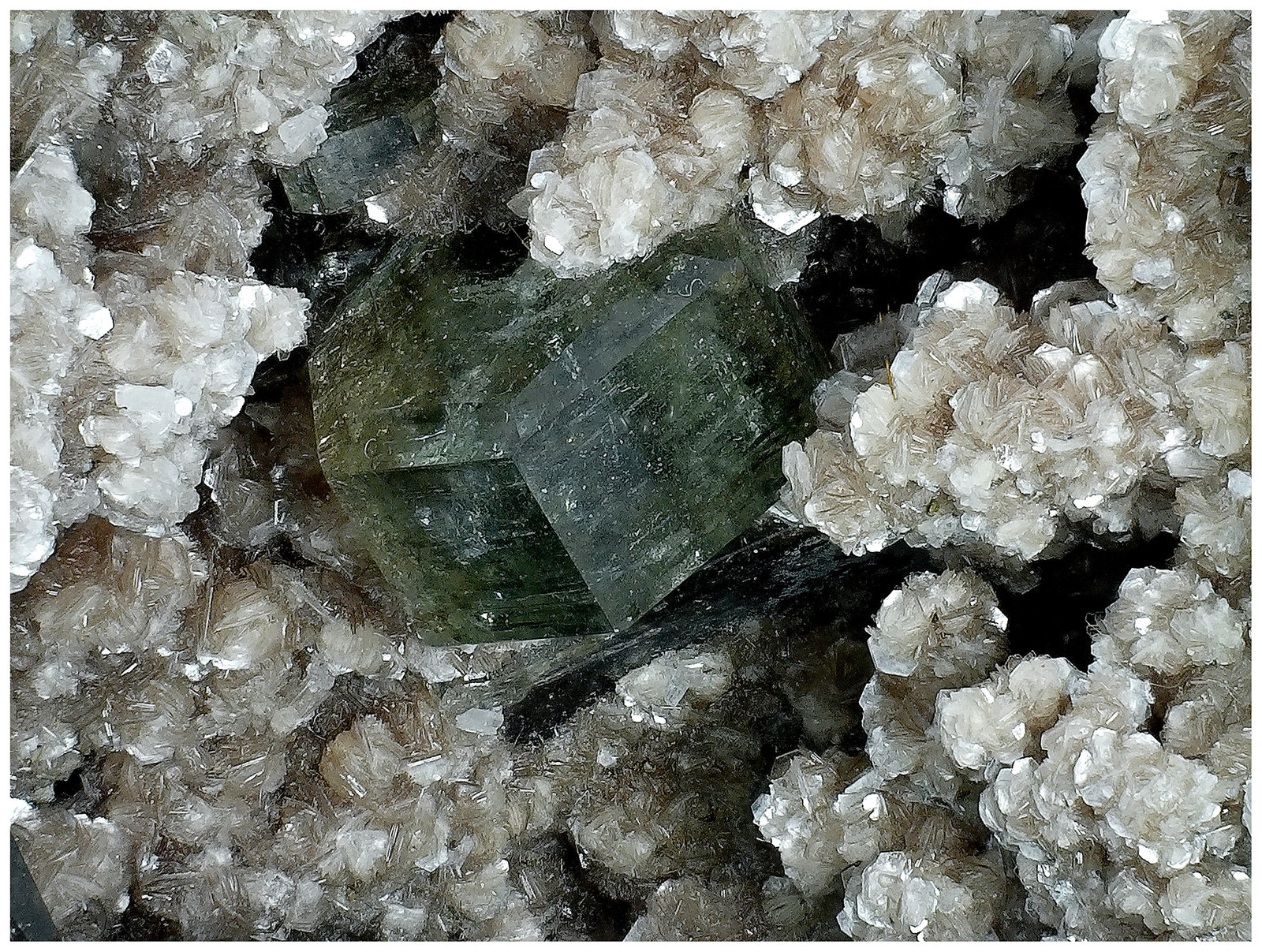 Fluorapatite, Muscovite
11 cm x 6 cm x 5 cm
(Autor: silvia)