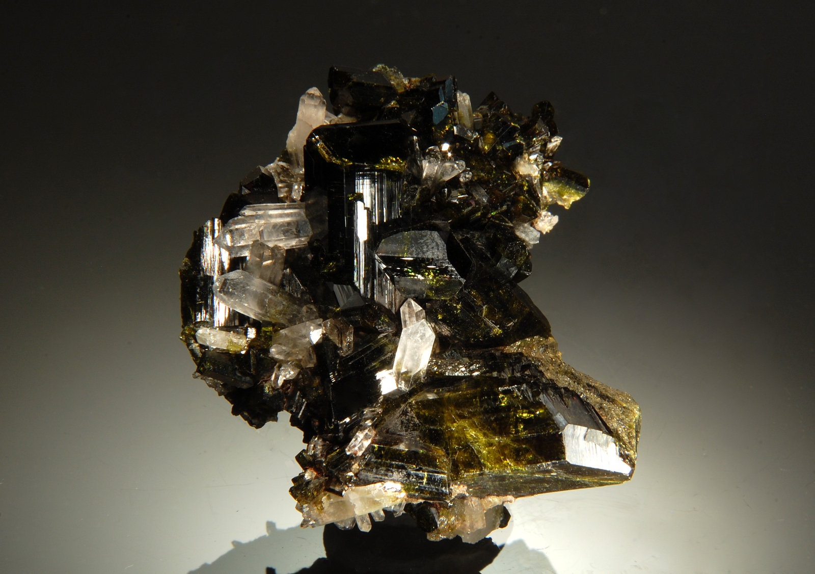 Epidote
3.8 x 4.2 cm
(Autor: Michael Shaw)
