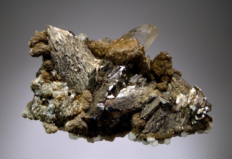 (Autor: Michael Shaw)
