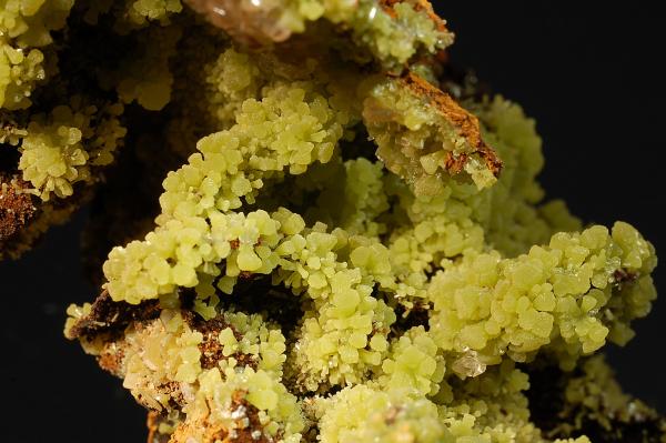 Mimetite
Field of view is approximately 3 cm. wide
(Autor: Michael Shaw)