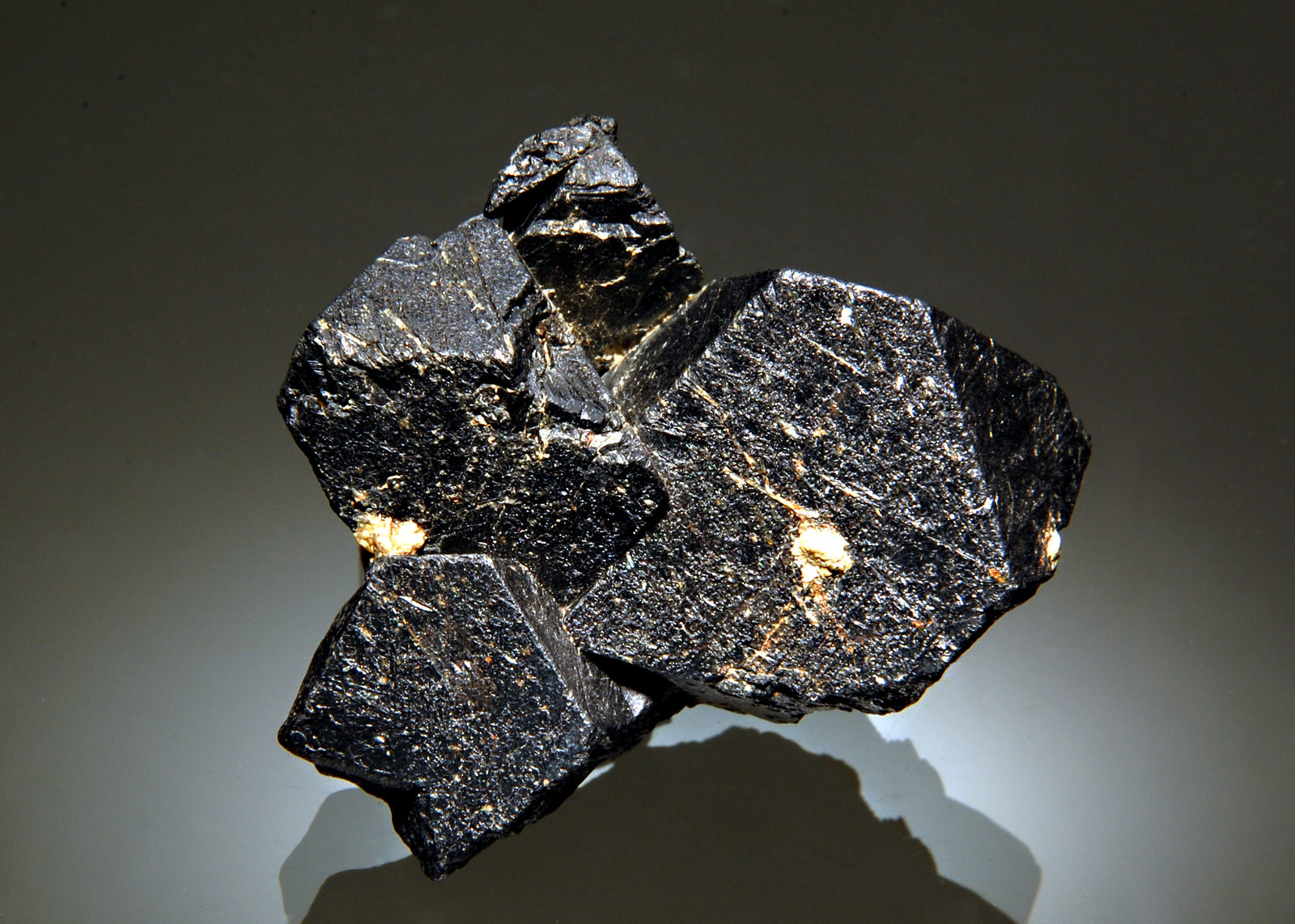 Magnetite
3.5 x 4.3 cm
(Autor: Michael Shaw)