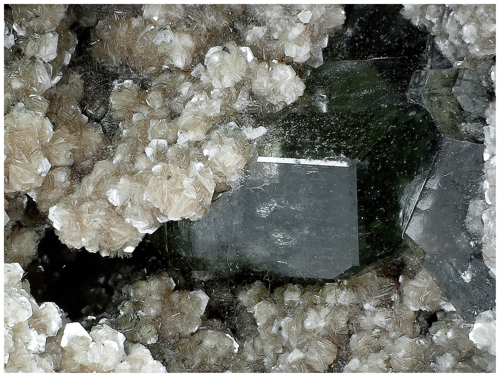 Fluorapatite, Muscovite
11 cm x 6 cm x 5 cm
(Autor: silvia)