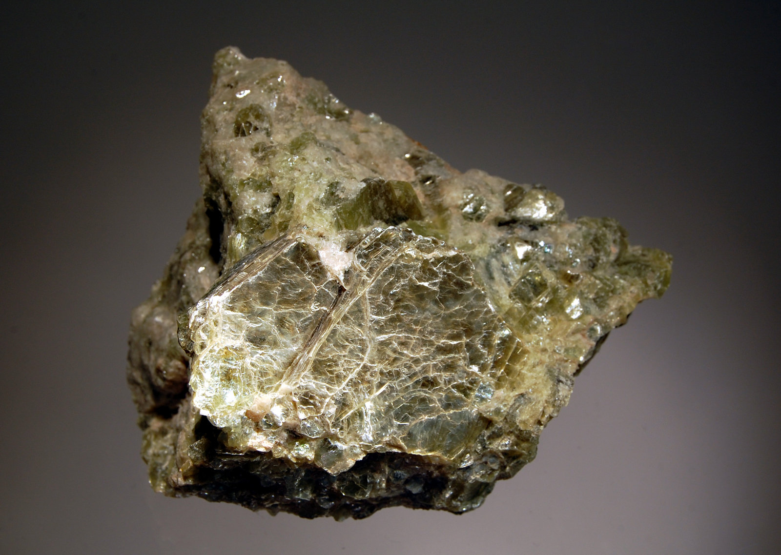 Eastonite
9.5 x 11.0 cm
(Autor: Michael Shaw)