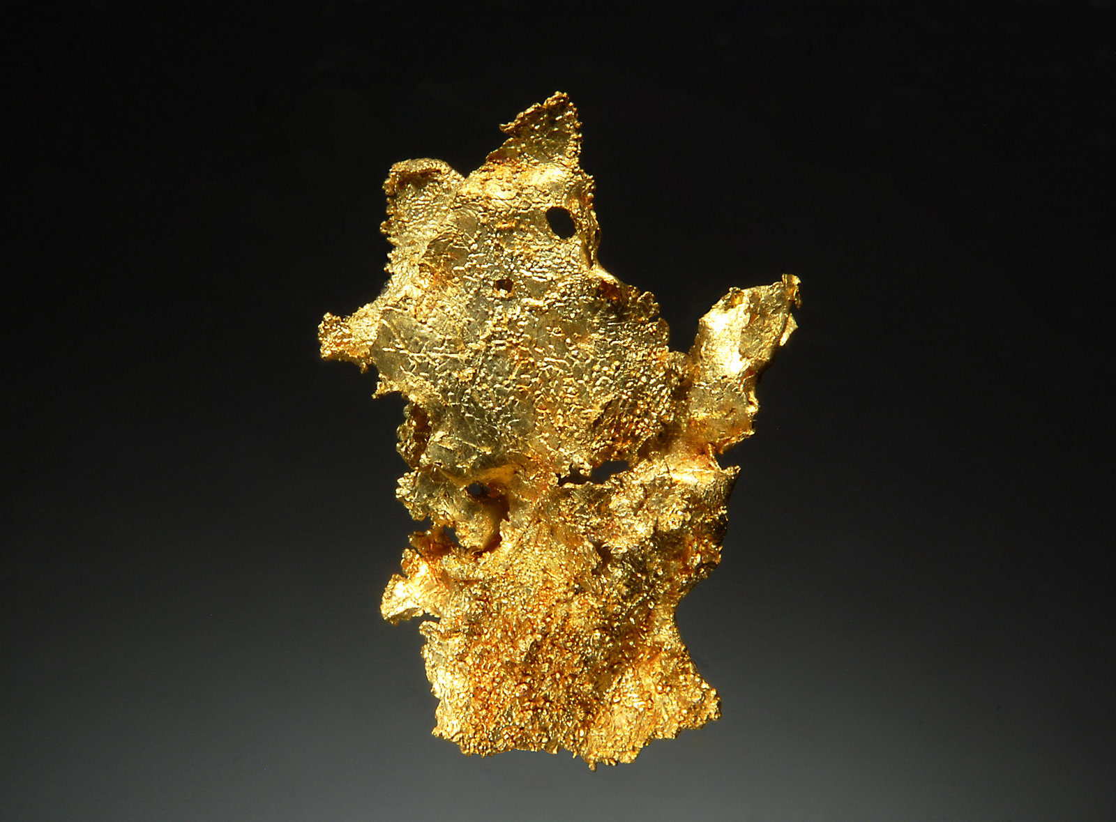 Gold
2.1 x 2.9 cm
(Autor: Michael Shaw)